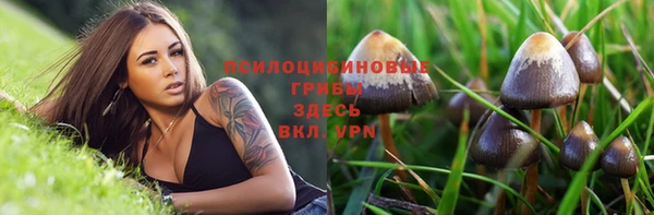 Альфа ПВП Киреевск