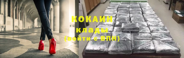 стаф Киренск