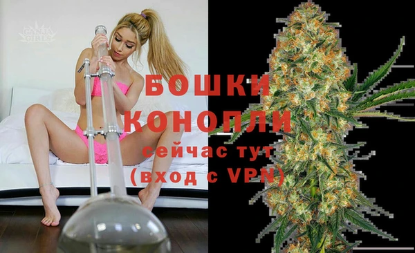 стаф Киренск