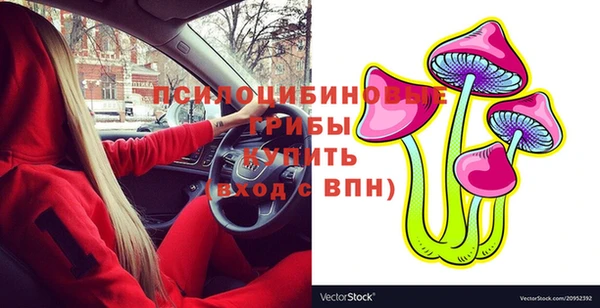 стаф Киренск