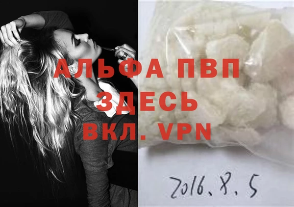 стаф Киренск