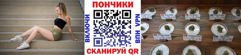Конопля планчик  Купить закладки  Бокситогорск 